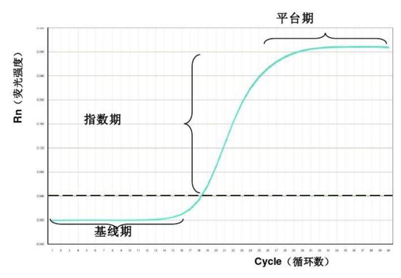 实时荧光定量PCR,实时荧光定量pcr正常值