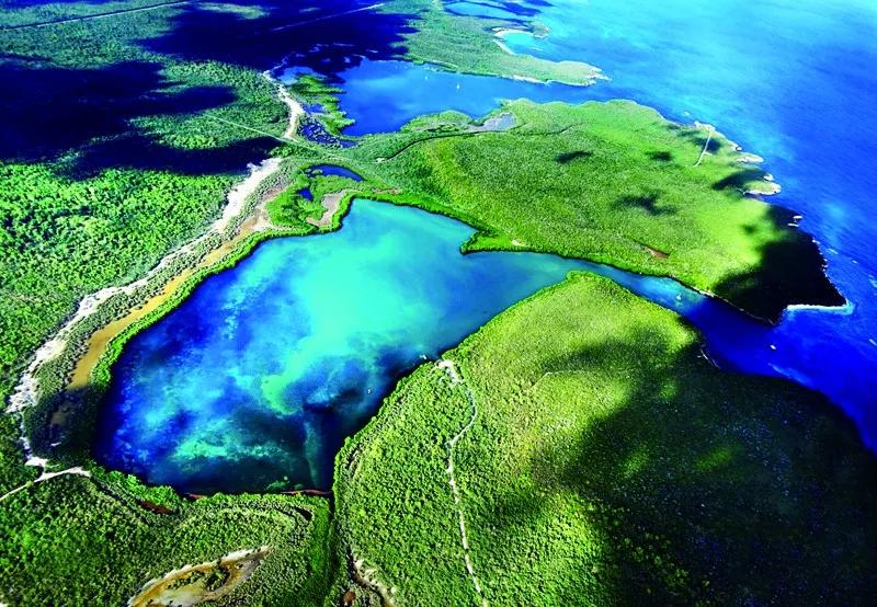 原来那片荧光海是真的存在的,荧光大海