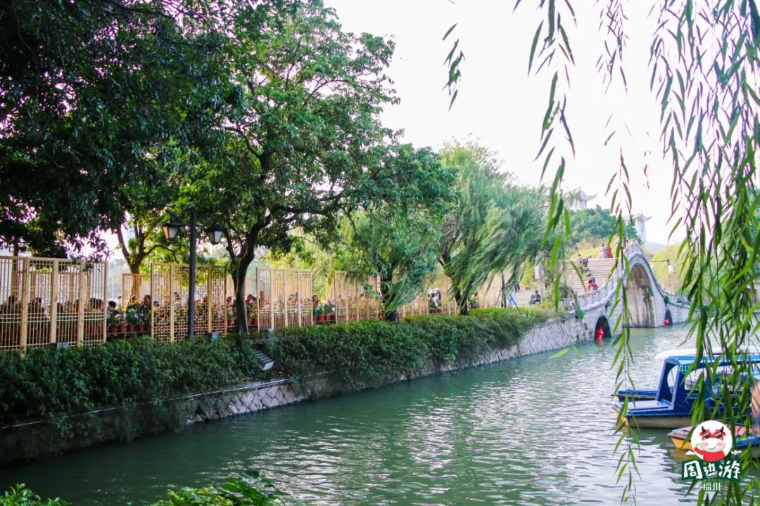 福州菊花展21年还有吗,福州西湖菊花展人山人海