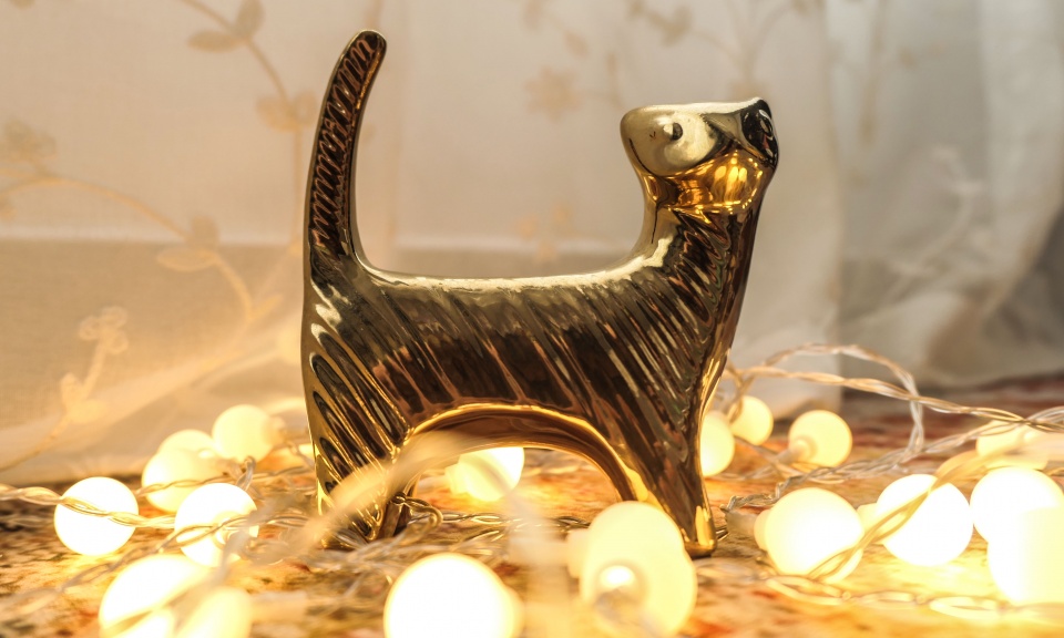 美少女必备vlog美颜相机，松下LX10全搞定