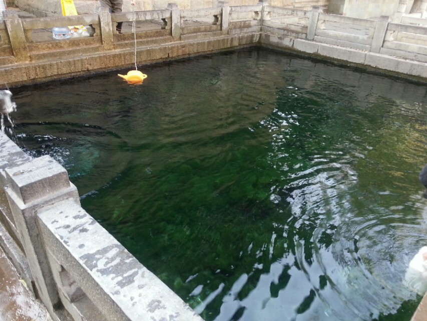 济南几大怪,济南十大怪事件