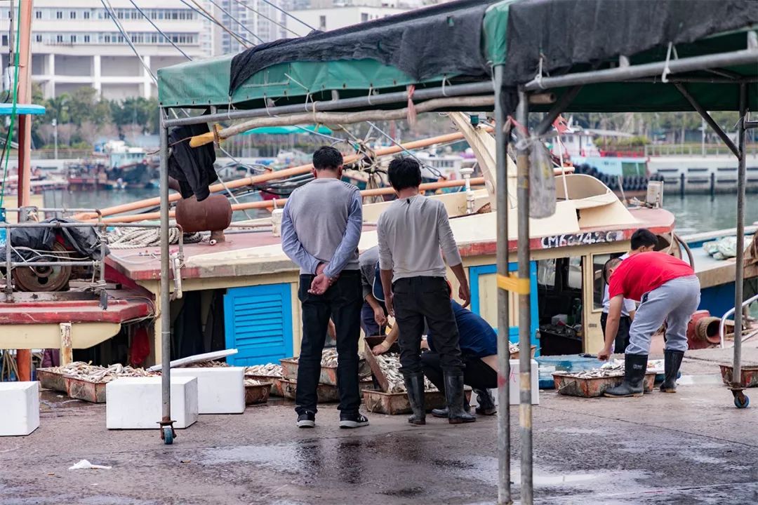 现在的蛇口,南头蛇口