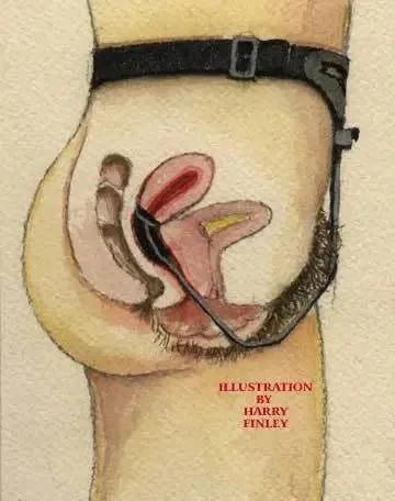 为了处理“大姨妈”,她们把杯子放进了身体里