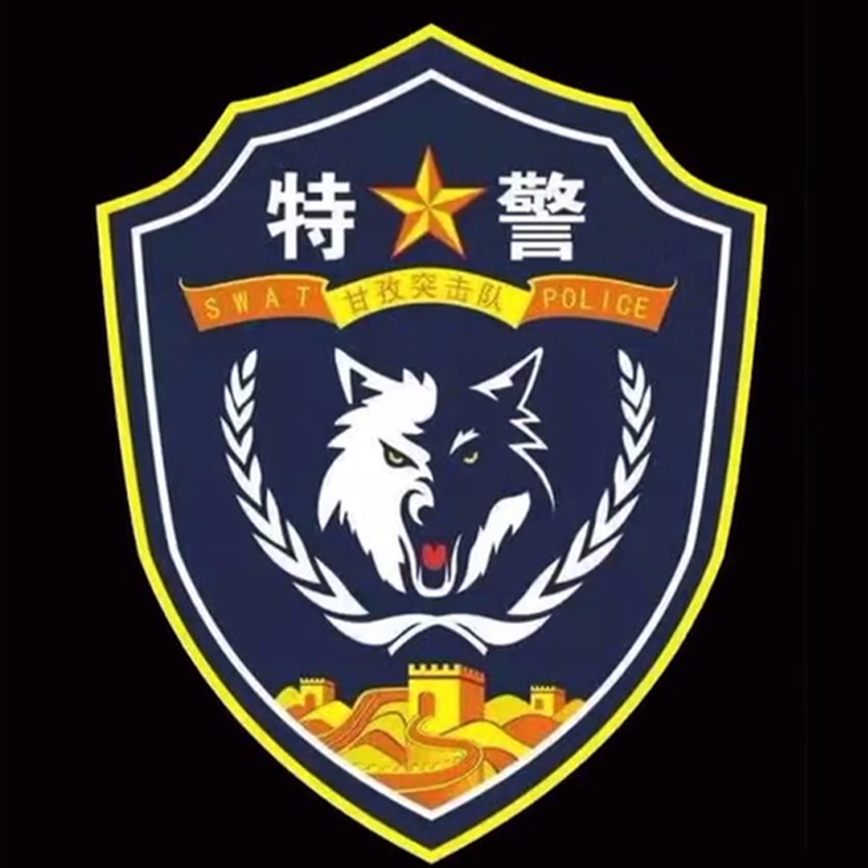 全国各个城市特警队臂章,公安特警帅图