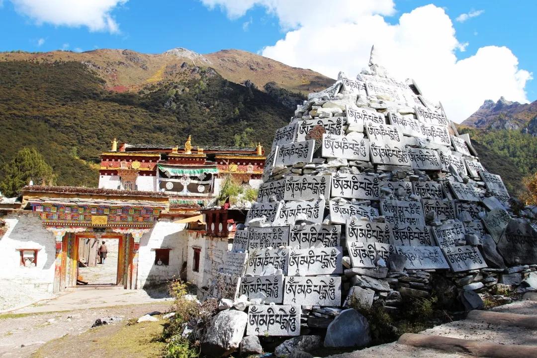 稻城亚丁春天视频,稻城亚丁春天风景