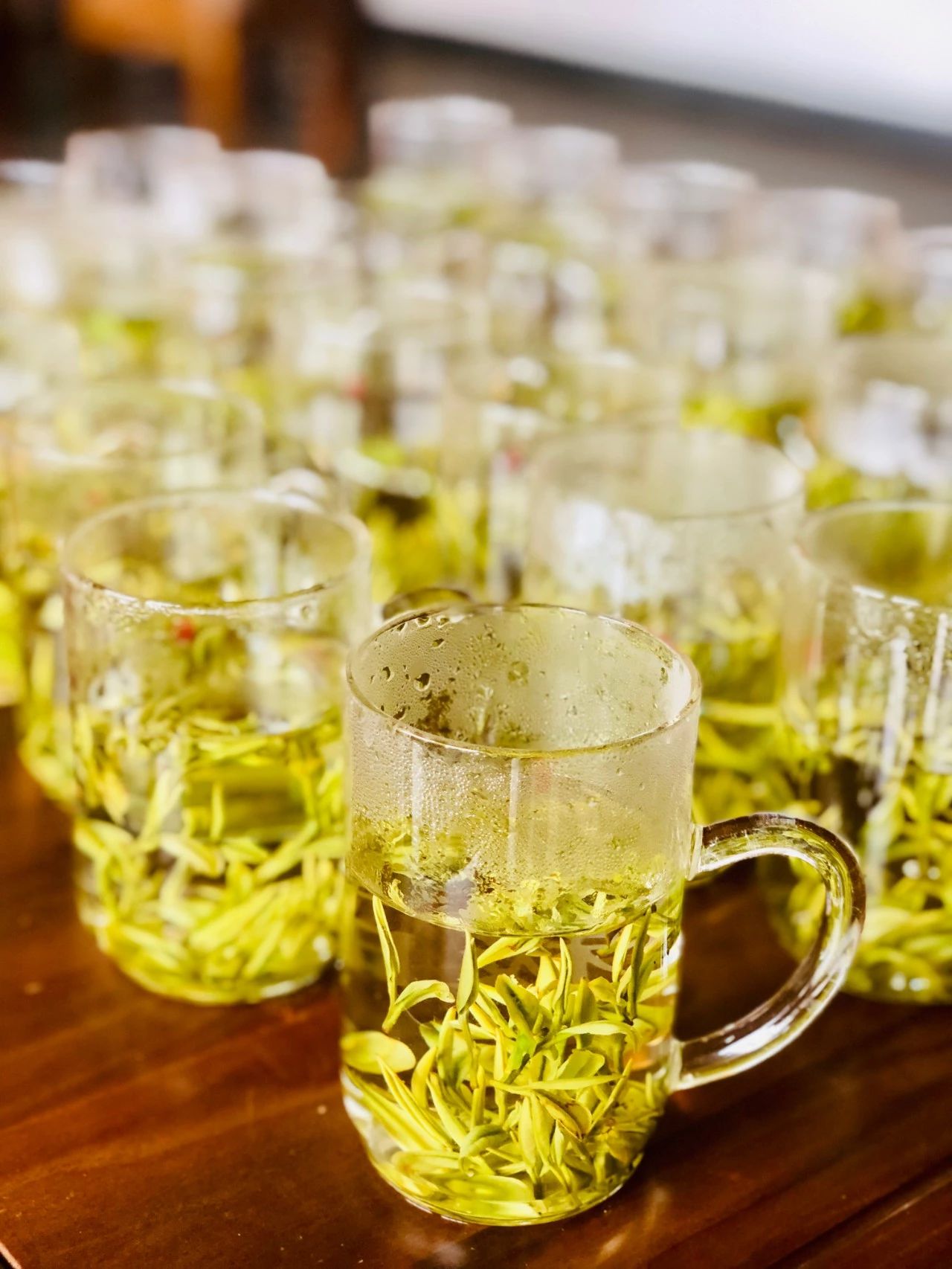 浙江最值得去的13家亲子酒店,安吉最赞的亲子酒店