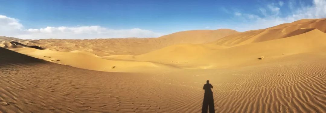 新手iphone必调设置,新手入门iphone怎么用