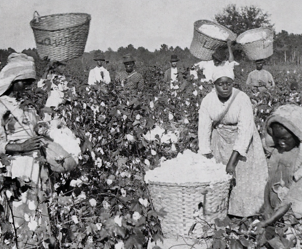 19世纪的黑人*奴女**隶，能靠“出卖美色”过上好日子吗？