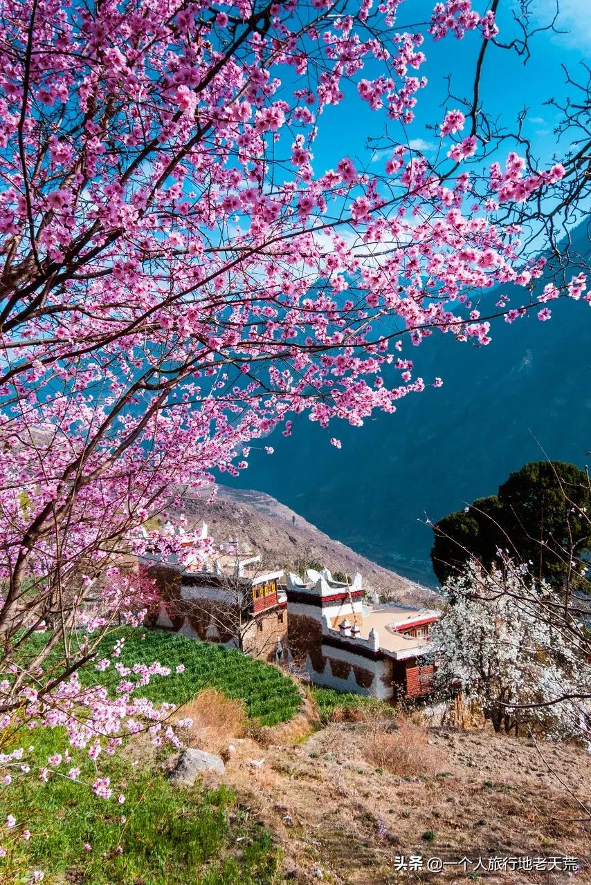 清明旅游一日游攻略,清明旅游三日游攻略