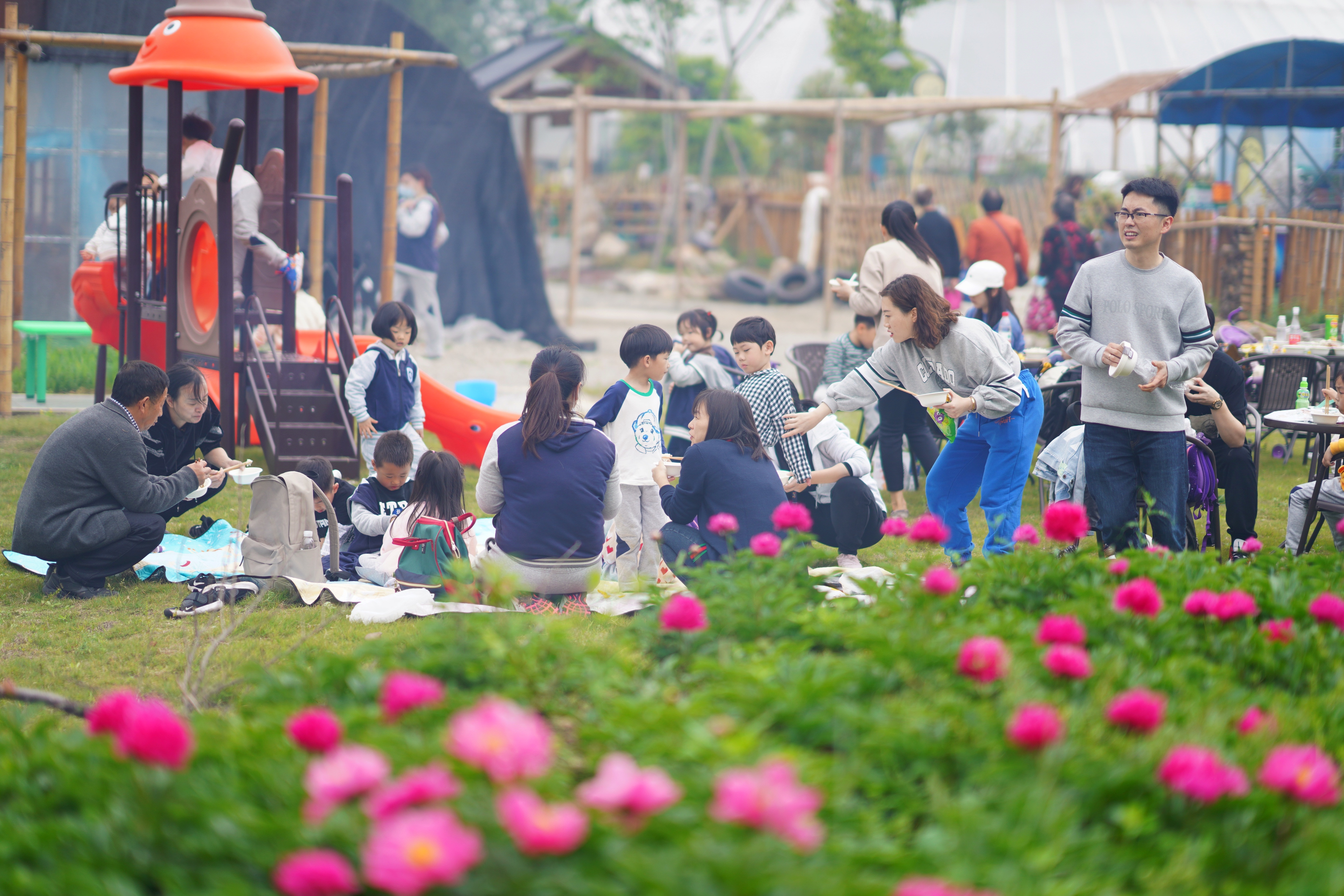 苏州特色民宿推荐,苏州最有特色民宿推荐