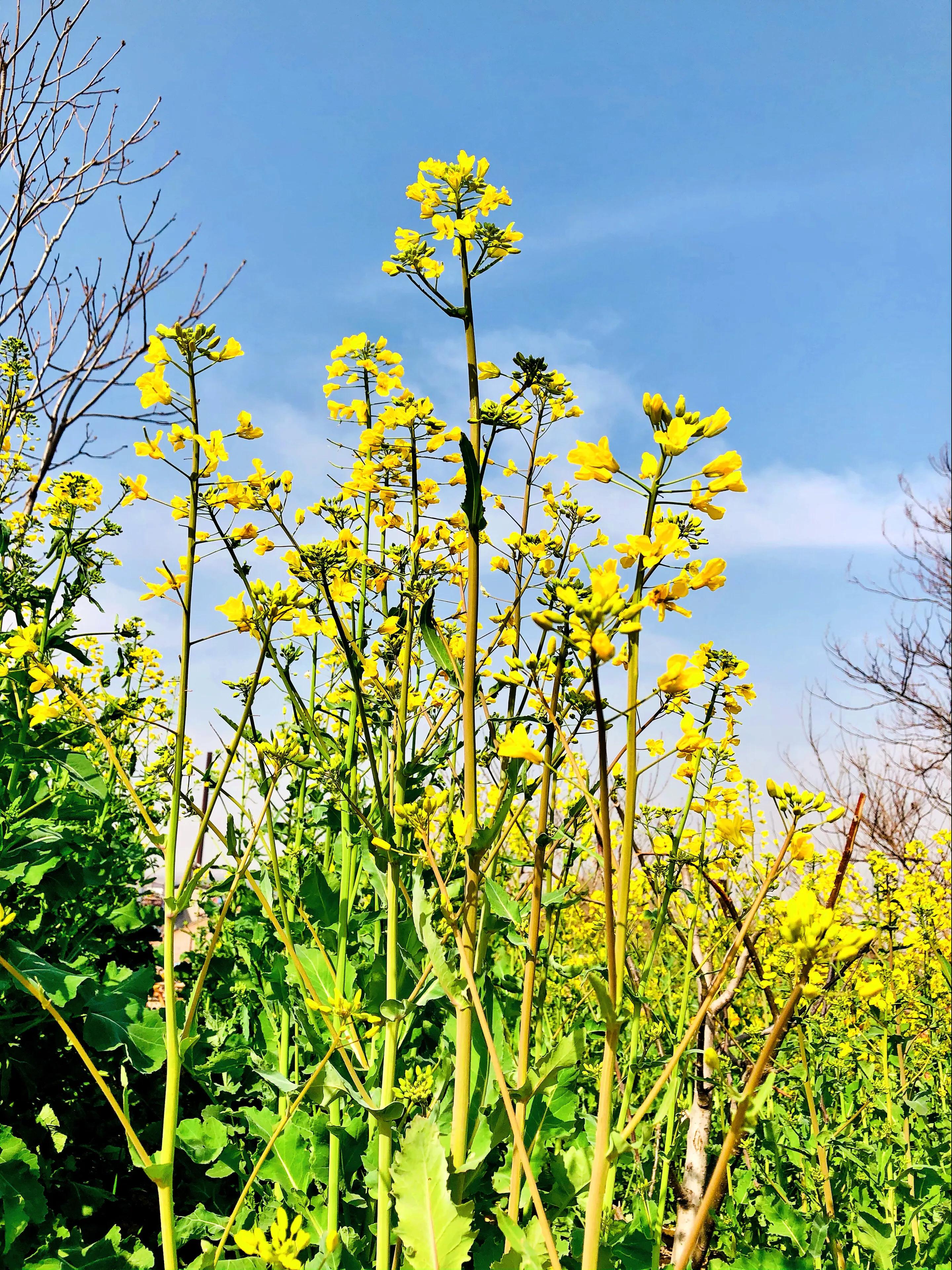 金塘半日游,白鹿原一日游攻略