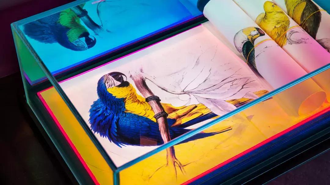 陈林设计师工作室,设计师陈林的简介