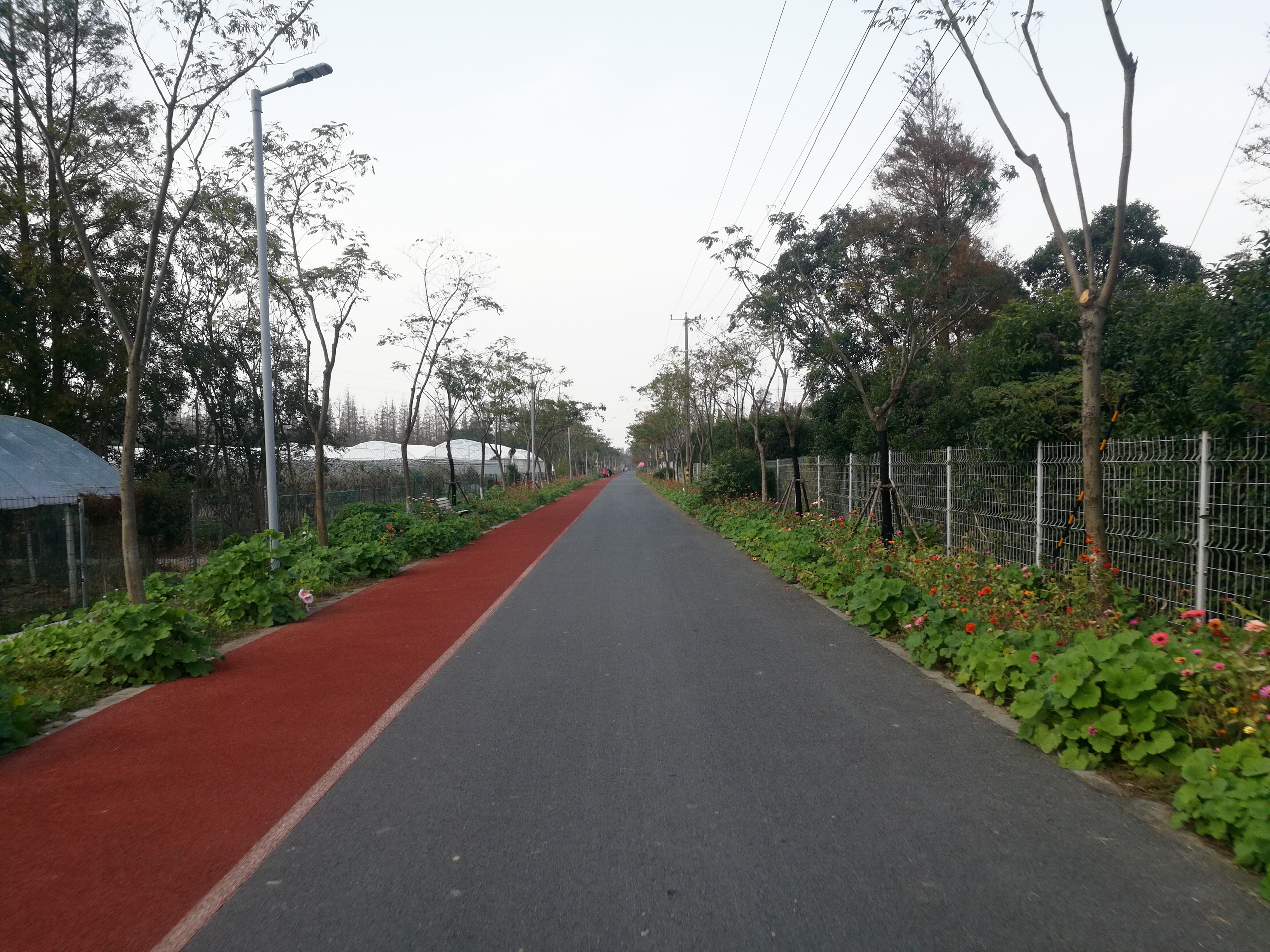 上海长兴岛郊野公园可以看见海吗,长兴岛郊野公园离上海站有几公里