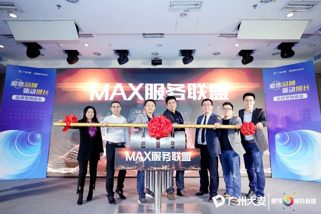 广州大麦电商运营,大麦电商推广营销