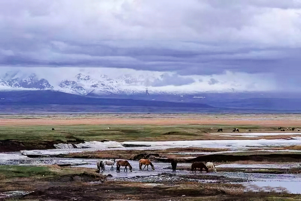 巴音布鲁克镇冬天的生活,巴音郭楞自治州和静县冬天