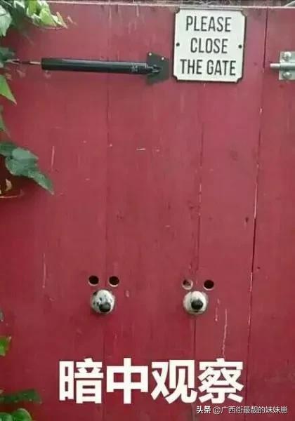 聚划算只优惠一次吗,聚划算价格高没流量