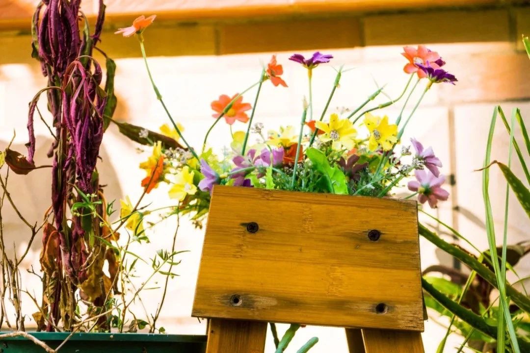 深圳的一处热门古风拍摄地,深圳古风拍照景点推荐