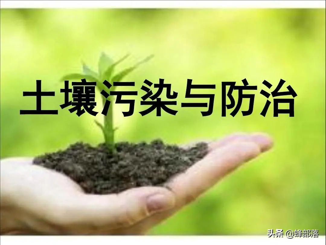 未来农村十大项目,农村最新项目商机