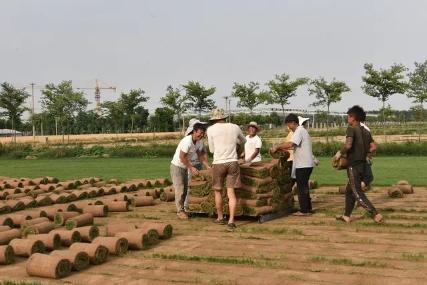 寿北大草原,我们来啦!---探访飞燕草坪寿光双王城基地