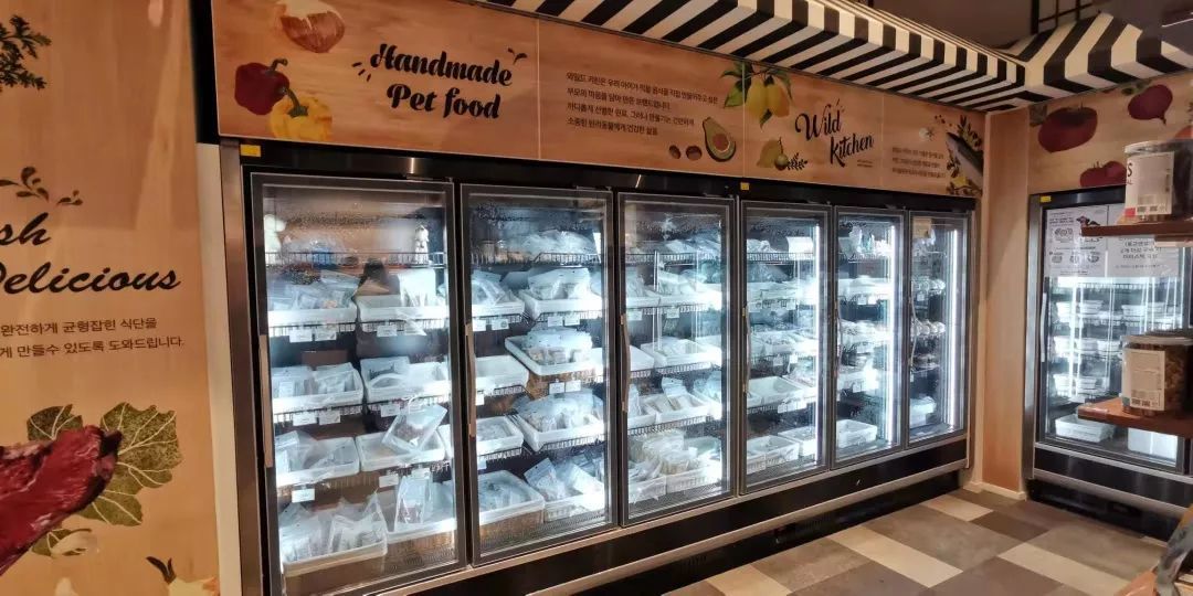 韩国宠物店推荐,韩国宠物店体验