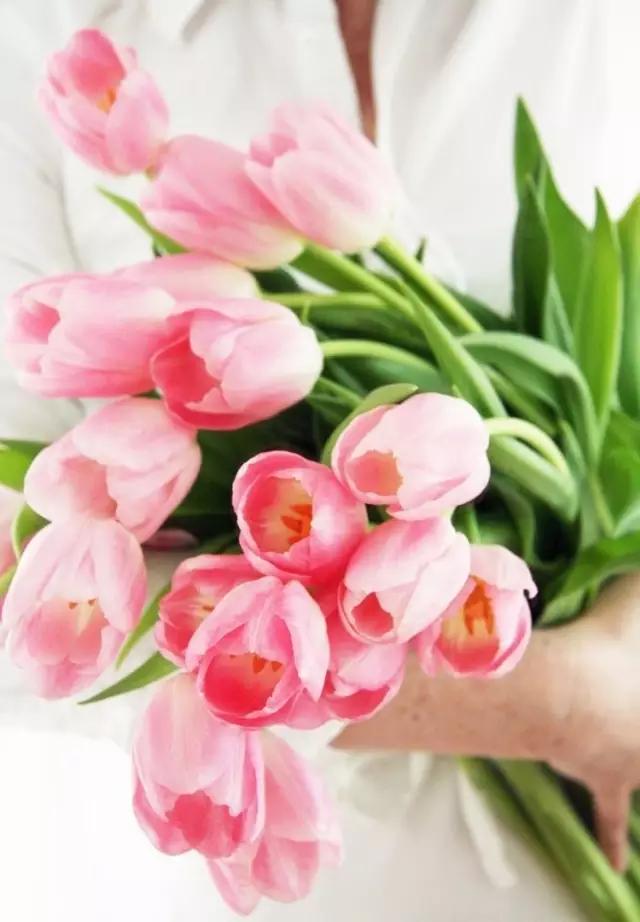 3.8女神节进入倒计时怎能缺少惊喜,3.8女神节最强攻略