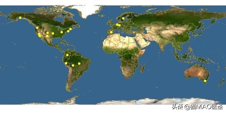 豚鼠不是哺乳动物,豚鼠是低氧动物吗
