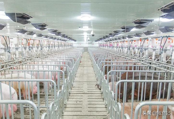 准备上市a股,正大饲料上市了吗