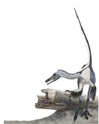 十种奇特怪异的恐龙有哪些,科学家未解恐怖之谜