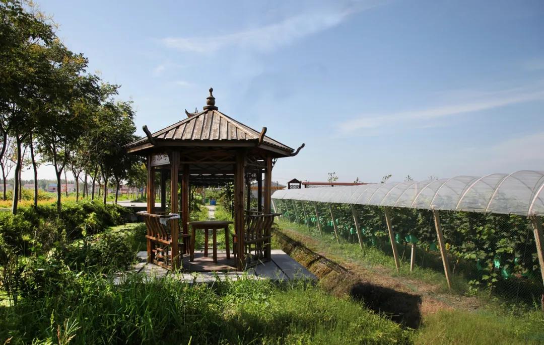 潜江旅游景点推荐,十堰至潜江路途旅游景点