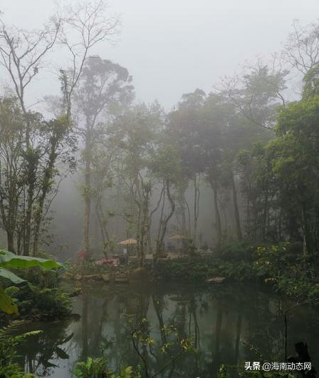 百花岭琼中,海南琼中百花岭旅游景区