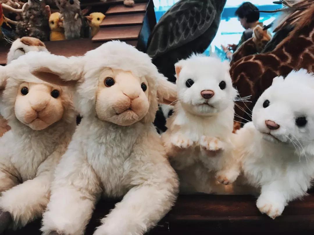 曼谷必买，清迈必玩，二刷泰国经验帖带你避坑