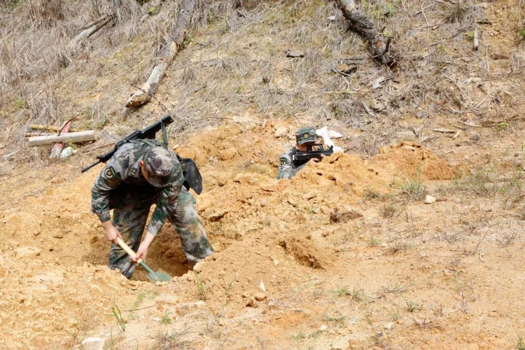 福建省军区民兵演习,战区部队的军事演练