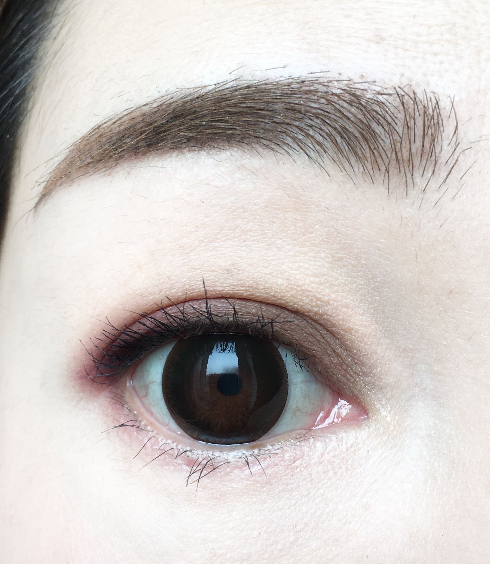 natashadenona迷你5色眼影盘教程,natashabrzone古铜盘眼影试色