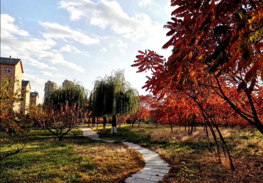 鞍山明达世纪花园怎么样,鞍山明达世纪花园四室