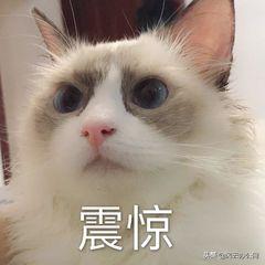 在手机上如何裁剪视频尺寸？分享你一个小妙招