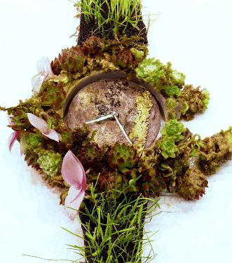 这枚独一无二的腕表，让你真正体会到时间的意义、生态的脆弱