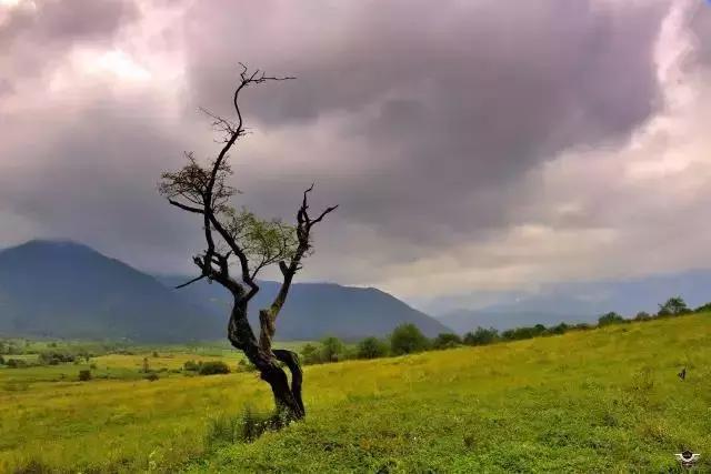 神秘山谷小瑞士,大凉山神奇的地方