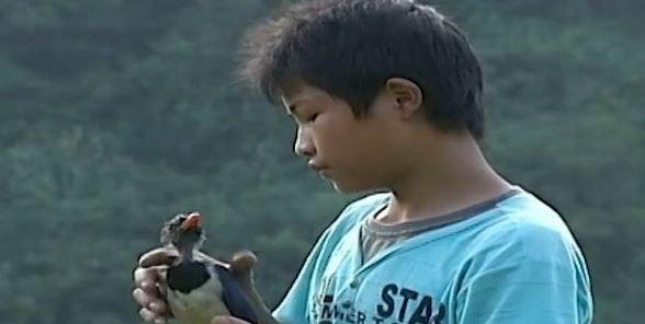 12岁少年鸟神,12岁天才少年懂鸟语