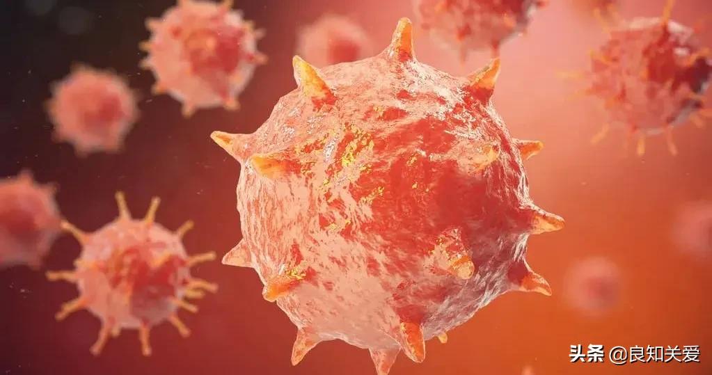 哪几种坚果对心脏健脑有好处,哪些坚果抗癌防血栓