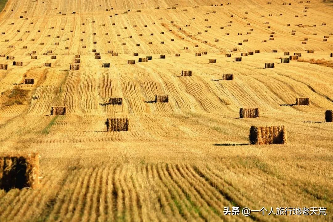 国内最适合一个人旅行的15个地方，累了就出来走一走吧