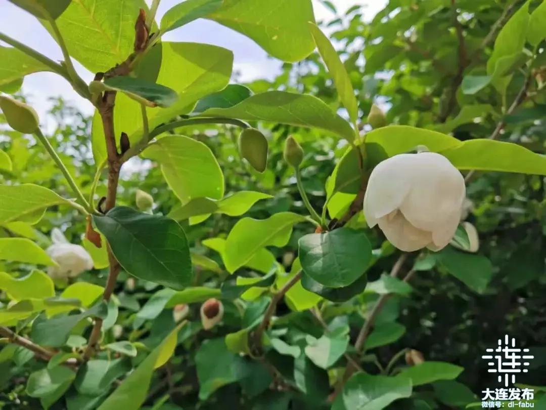 周末去哪玩周边游推荐一个好地方,周边游假期旅游攻略