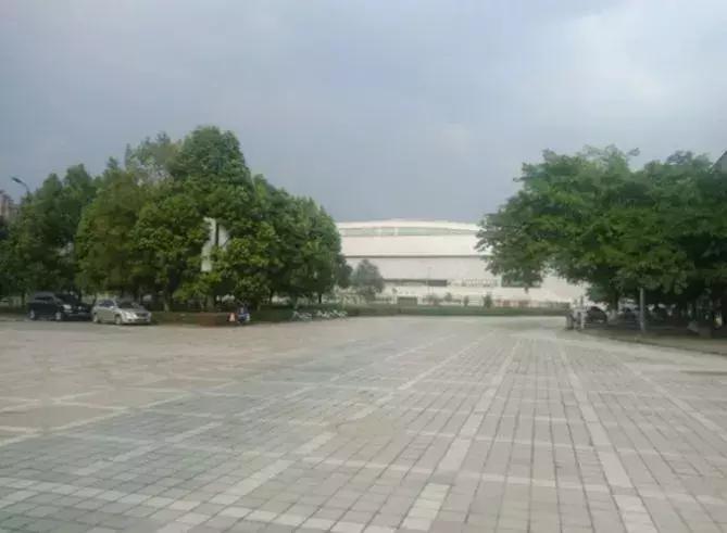 体育馆内的超绝颜值,成都双流体育场