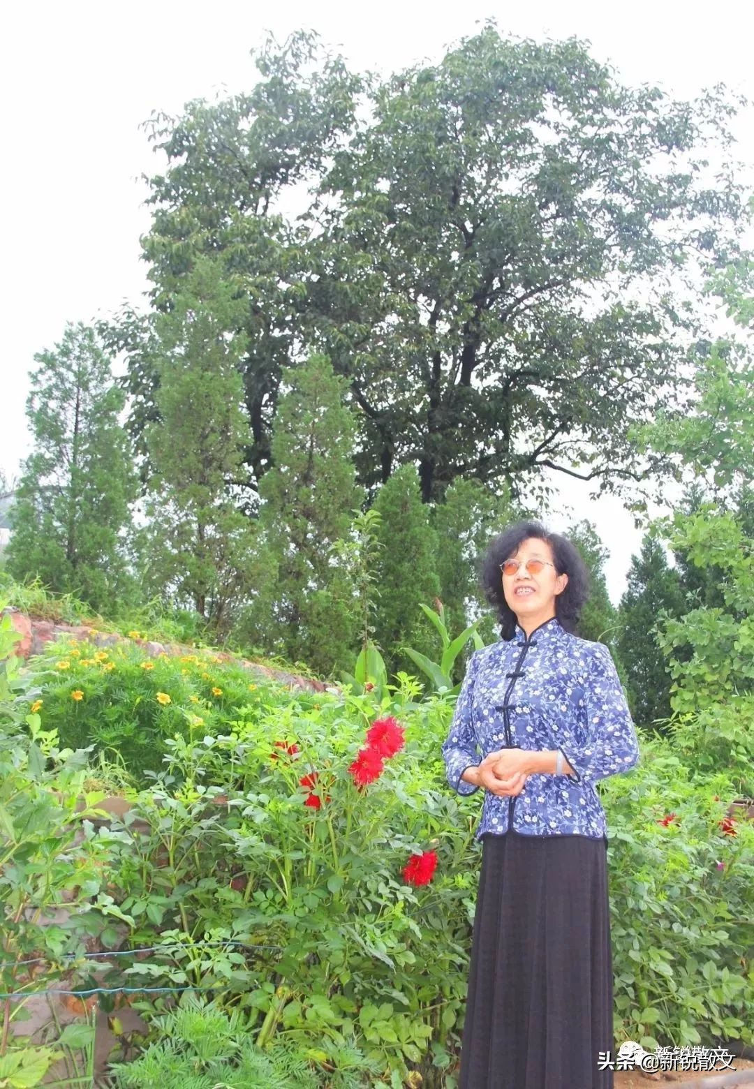 苍岩山，因天工人力的浑然绝配名扬四海，南阳公主的功德更添风韵