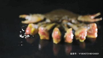 潮汕生腌在本地吃贵不贵,潮汕生腌吃了上头