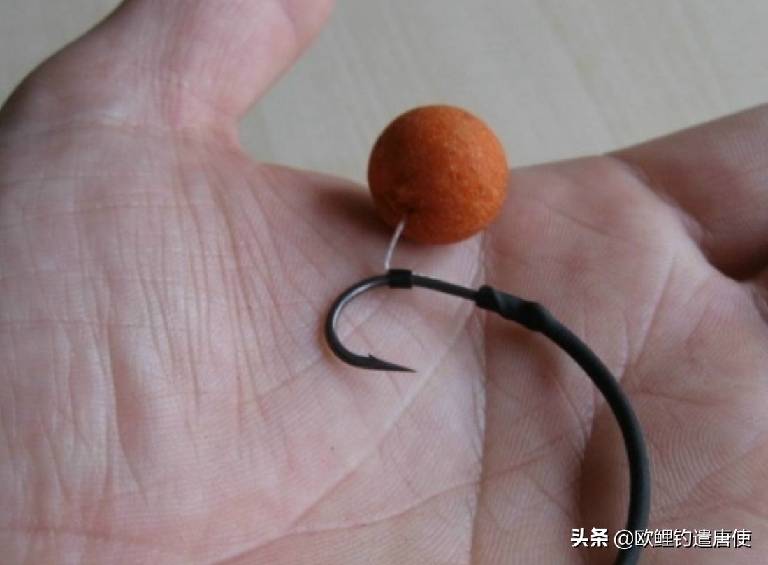 欧鲤钓必须用弯背钩吗,欧鲤钓真的那么厉害吗