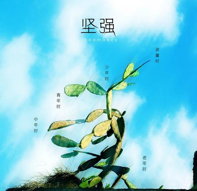 人生百态百味人生,阅百味人生分享人生百态