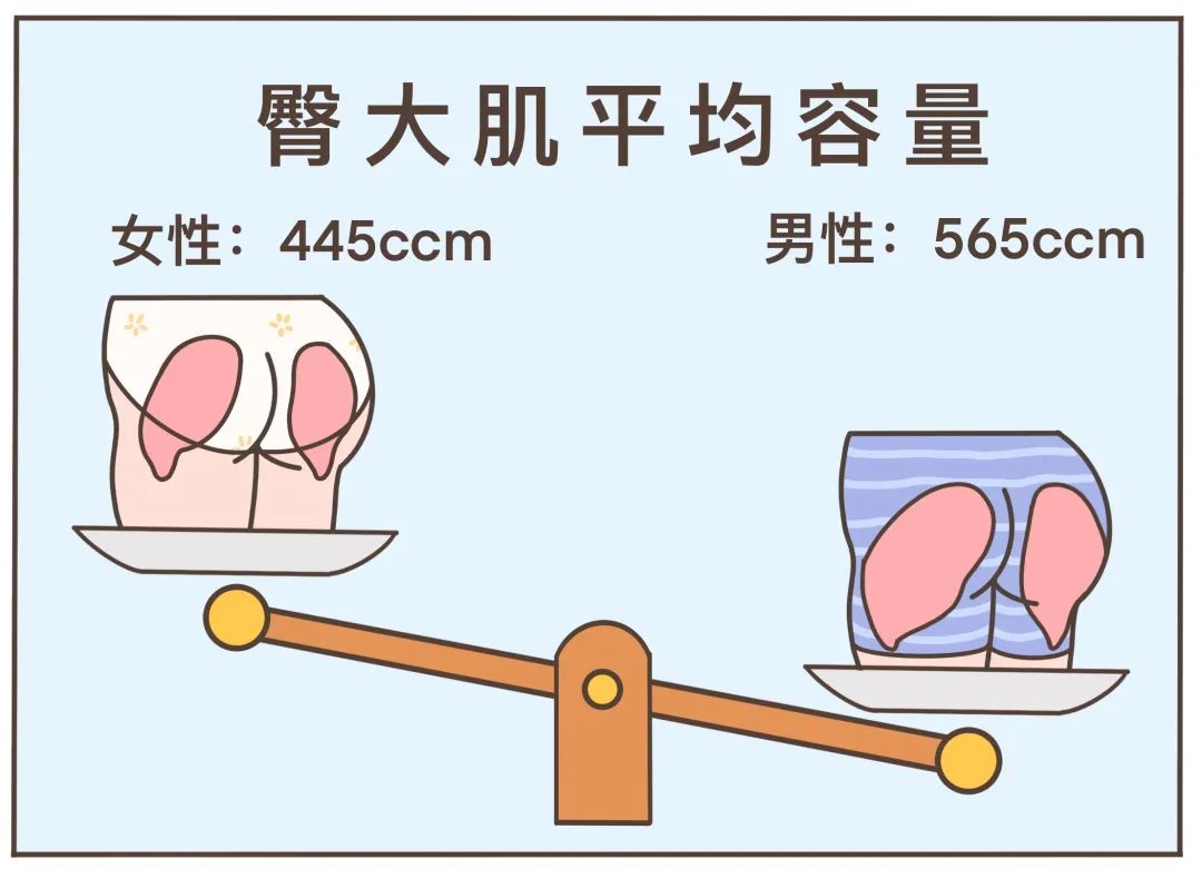 为什么有人臀很翘,男生臀为什么这么翘