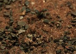 为什么孕妇间歇性孕吐,孕期为什么会导致孕吐