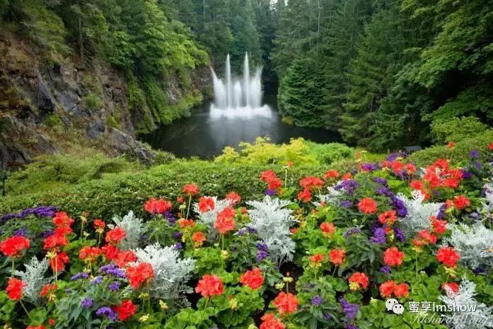 走进爱丽丝梦游仙境,爱丽丝梦游仙境绝美森林