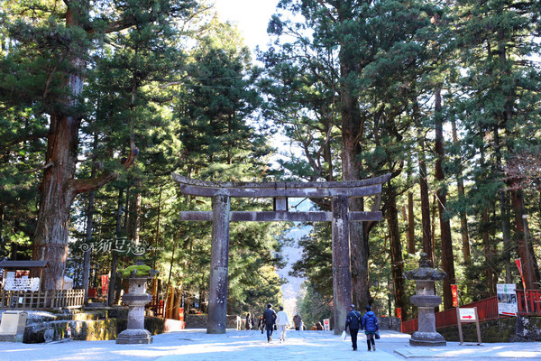 东京周边游的旅游景点,东京复仇者周边